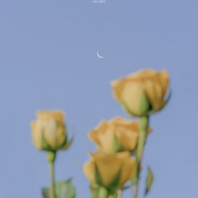 im电竞官网下载手机版