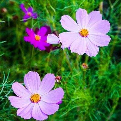 天博平台app下载中心截图